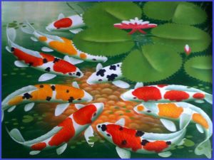 50 Tips Memelihara KOI Ikan TERMAHAL Di Dunia-min